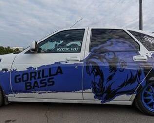 Priora Gorilla